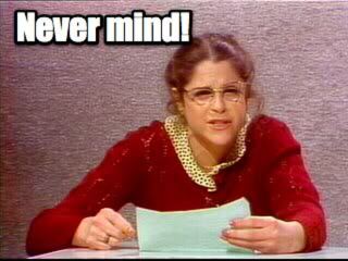 Illustration for article titled Update Sarah Palin "why do Muslims hate Charlie Brown"